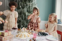 Best Konges Sløjd Carli kjole - cherry