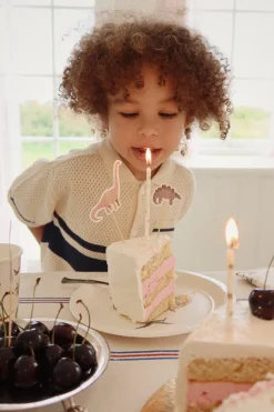 Hot Konges Sløjd fødselsdagspynt - dino