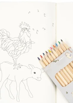 Cheap Konges Sløjd MALEBOG OG FARVEBLYANTER - farm