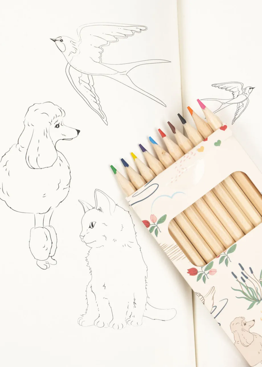 Shop Konges Sløjd MALEBOG OG FARVEBLYANTER - mizumi